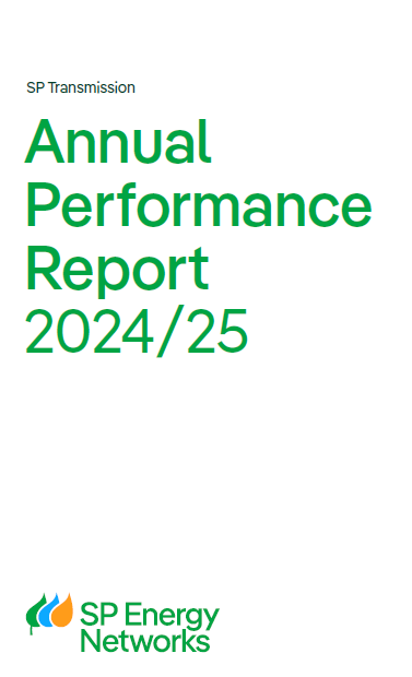 annual_performance_report_mockup
