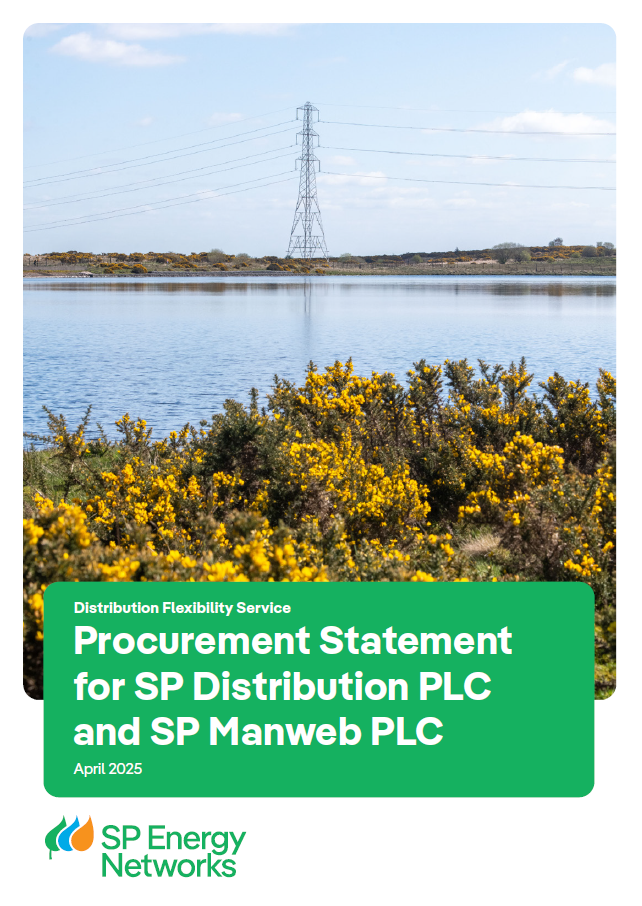 Flexible Power Statement