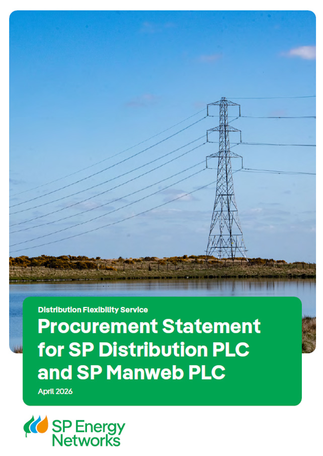 Flexible Power Statement