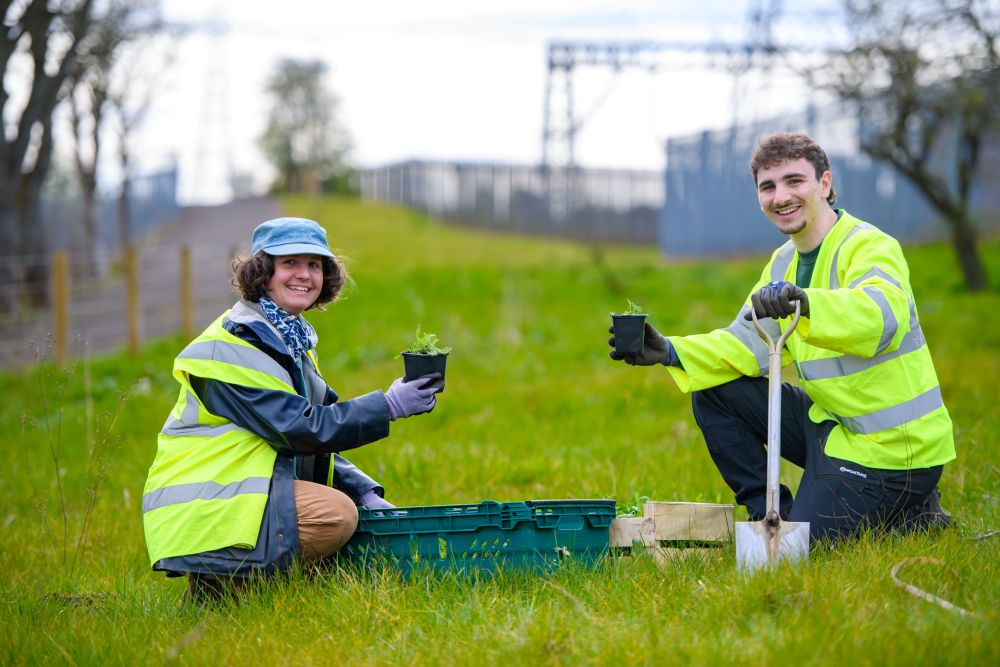 BugLife B Lines Biodiversity