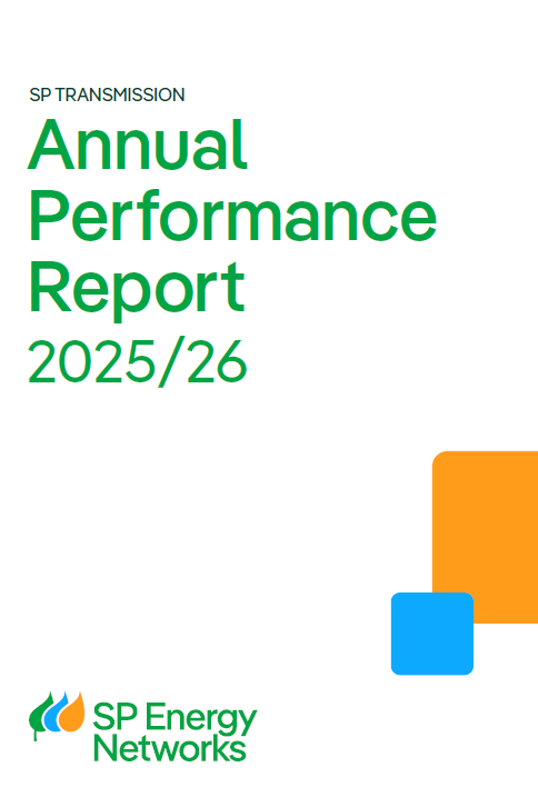 annual_performance_report_mockup