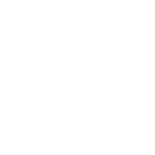 pva icon
